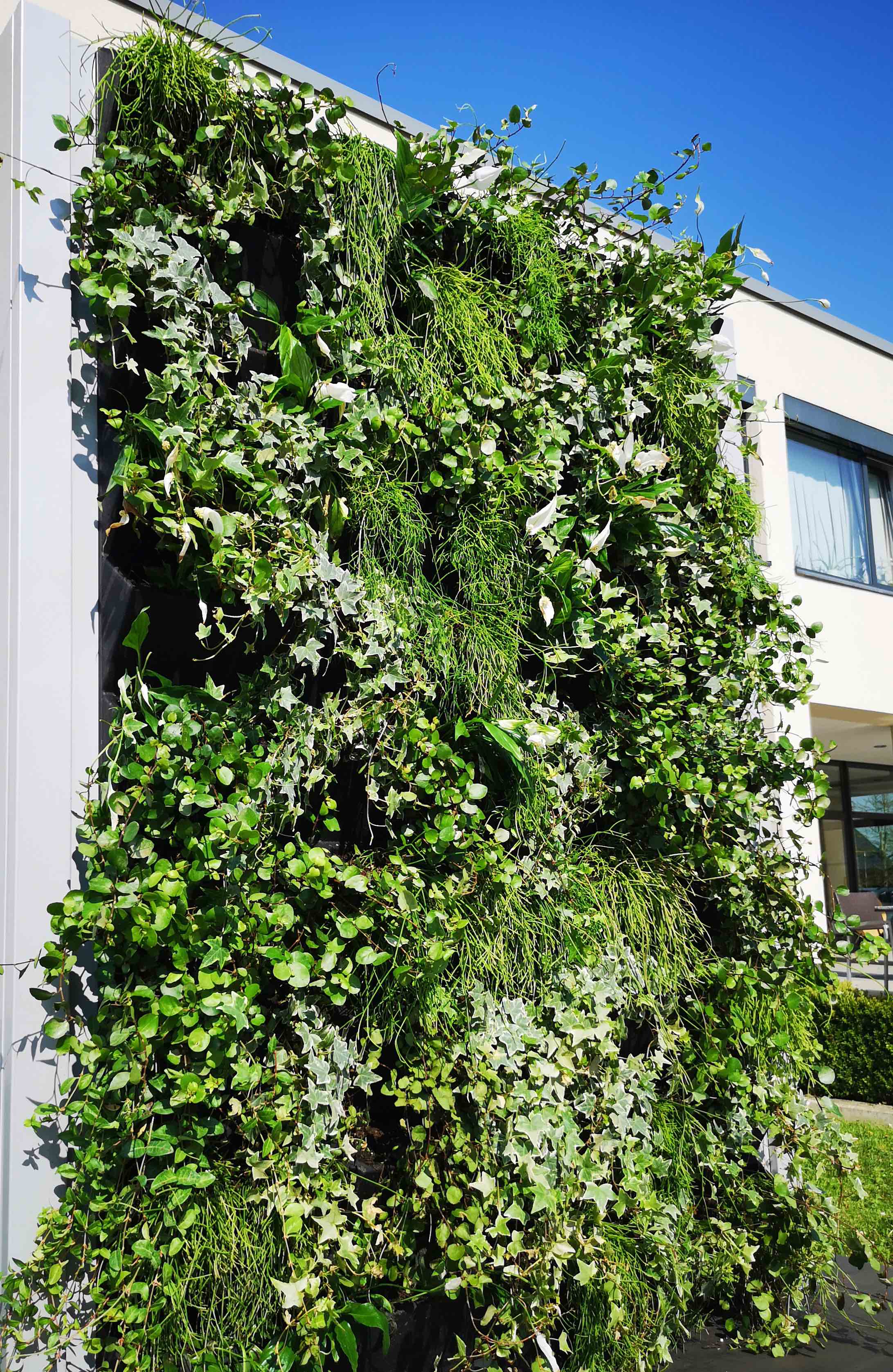 MiBaveno Living Fence verticale groenwand