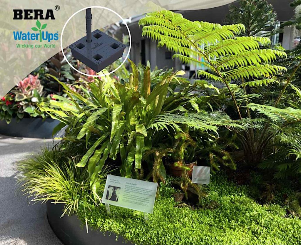BERA WaterUps zorgt voor een optimale plantengroei dankzij een efficiënte bewatering.