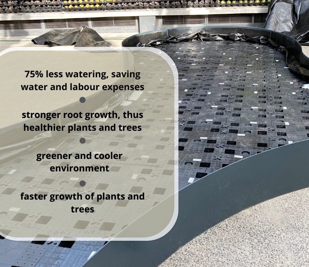 BERA WaterUps biedt vele voordelen voor groenzones. Planten groeien optimaal met minder waterverbruik, niet onbelangrijk in tijden van klimaatverandering.